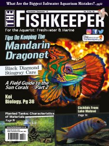 The Fishkeeper - 11/12 2018 The Fishkeeper - 11/12 2018
