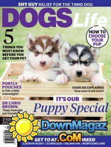 Dogs Life - 01/02 2017 Dogs Life - 01/02 2017