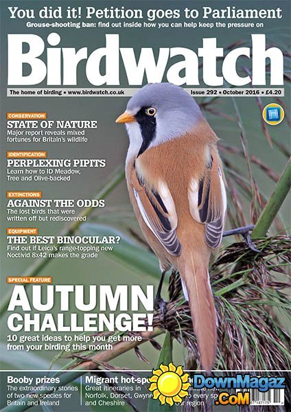 Birdwatch UK - October 2016 Birdwatch UK - October 2016