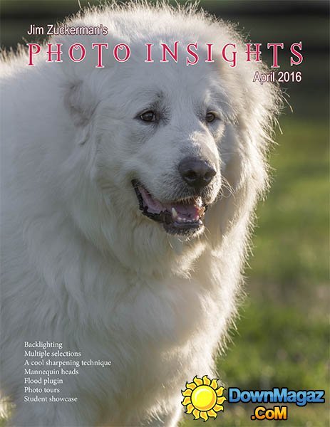 Photo Insights - April 2016