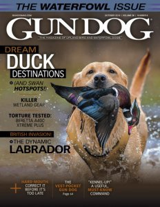 Gun Dog - 10.2019
