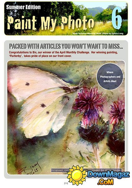 Paint My Photo - Summer 2013