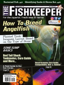 The Fishkeeper - 09/10 2018 The Fishkeeper - 09/10 2018
