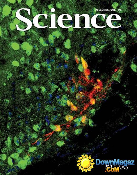Science - 20 September 2013 Science - 20 September 2013