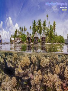 Underwater Photography - 03/04 2019 Underwater Photography - 03/04 2019