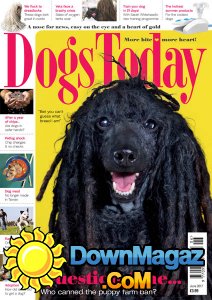 Dogs Today UK - 06.20176 Dogs Today UK - 06.20176