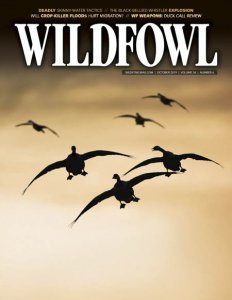 Wildfowl - 10.2019 Wildfowl - 10.2019