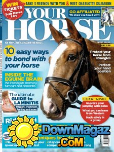Your Horse - 07.2017 Your Horse - 07.2017