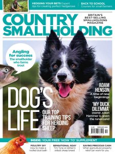 Country Smallholding - 02.2020 Country Smallholding - 02.2020