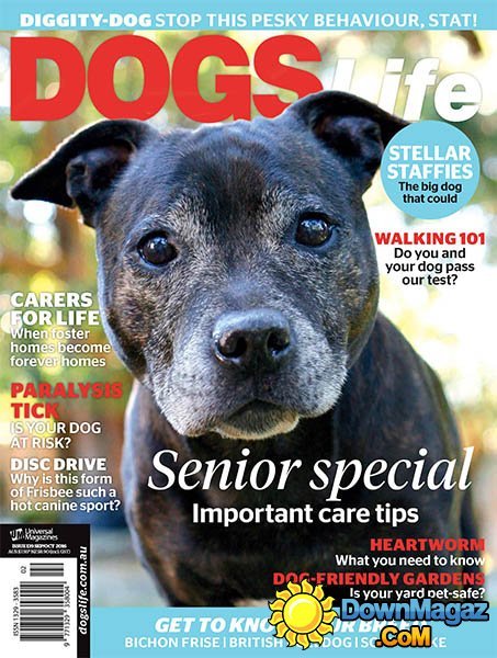 Dogs Life - September - October 2016 Dogs Life - September - October 2016
