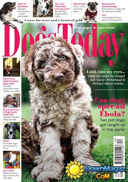 Dogs Today - December 2014