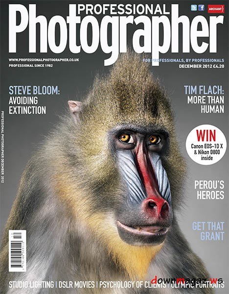 Professional Photographer Magazine UK December 2012 Professional Photographer Magazine UK December 2012