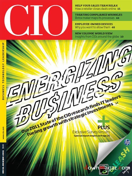 CIO - 15 December 2010 CIO - 15 December 2010