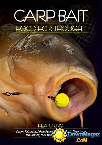Carp Bait - Food for Thought