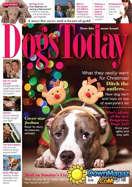 Dogs Today - January 2015