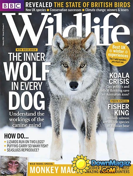 BBC Wildlife - February 2014 BBC Wildlife - February 2014