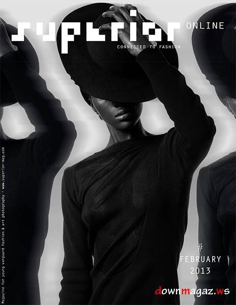 Superior - February 2013
