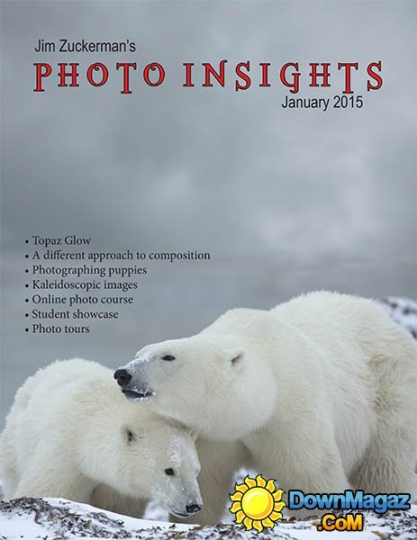 Photo Insights - January 2015