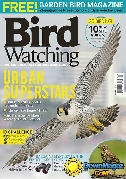 Bird Watching - May 2015