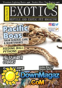 Ultimate Exotics - 09/10 2017 Ultimate Exotics - 09/10 2017