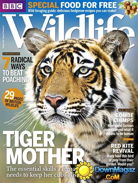 BBC Wildlife - October 2014
