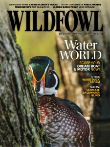 Wildfowl - 06/07 2019 Wildfowl - 06/07 2019