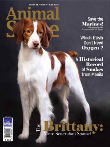 Animal Scene - 07.2018 Animal Scene - 07.2018