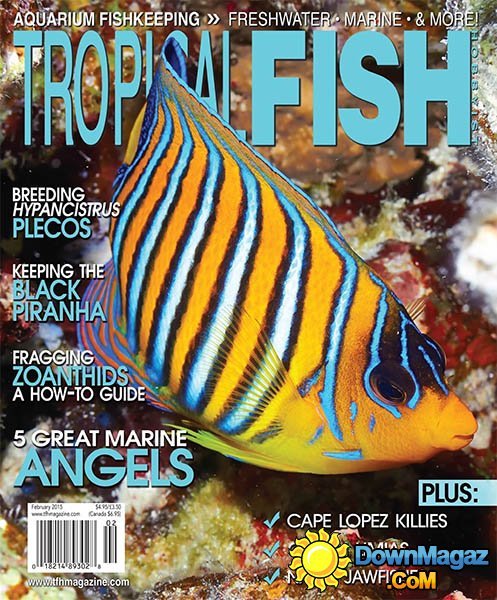 Tropical Fish Hobbyist - February 2015 Tropical Fish Hobbyist - February 2015