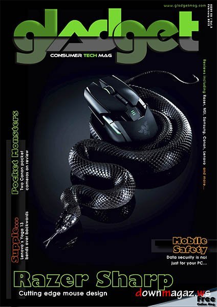 Gladget - February 2013