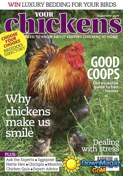Your Chickens UK - August 2015 Your Chickens UK - August 2015