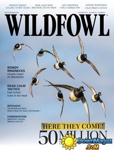Wildfowl USA - October 2015 Wildfowl USA - October 2015