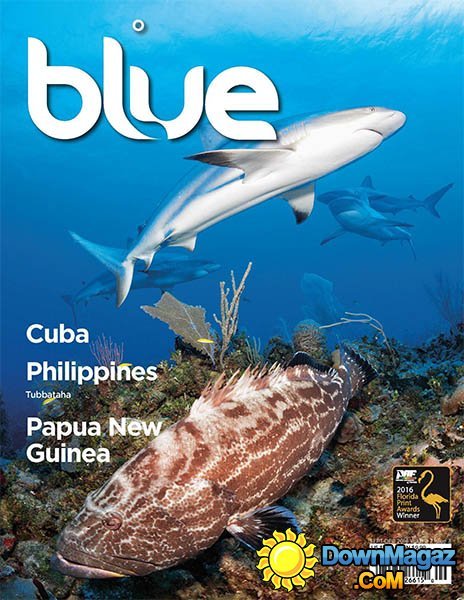 Blue - Volume 7, Issue 3 2016