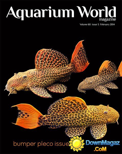 Aquarium World - February/March 2014 Aquarium World - February/March 2014