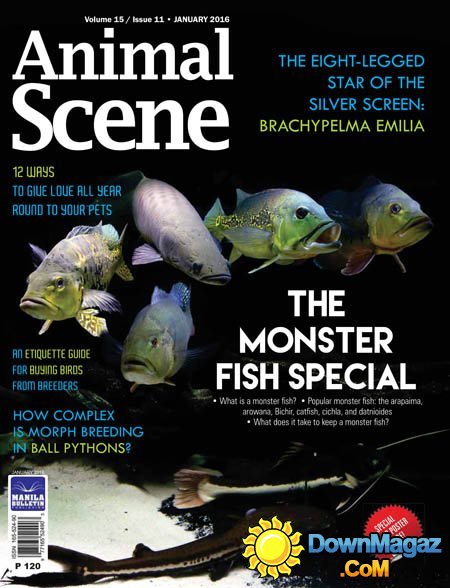 Animal Scene - January 2016