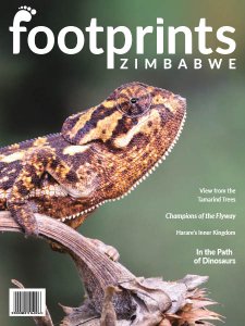 Footprints Zimbabwe - Is. 3 2018 Footprints Zimbabwe - Is. 3 2018