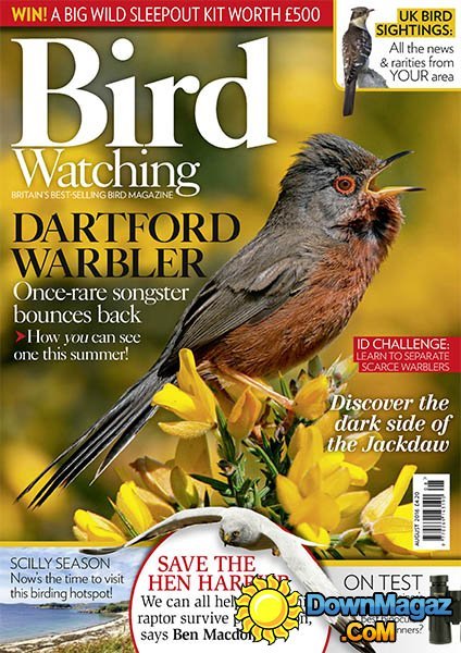 Bird Watching UK - August 2016 Bird Watching UK - August 2016