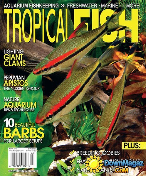 Tropical Fish Hobbyist - March 2015 Tropical Fish Hobbyist - March 2015