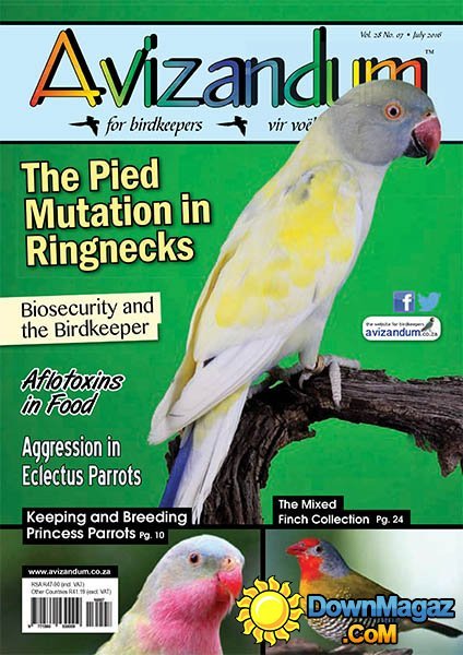 Avizandum - July 2016