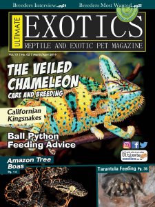 Ultimate Exotics - 03/04 2019 Ultimate Exotics - 03/04 2019