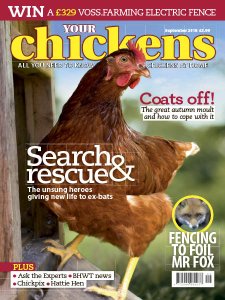 Your Chickens - 09.2018 Your Chickens - 09.2018