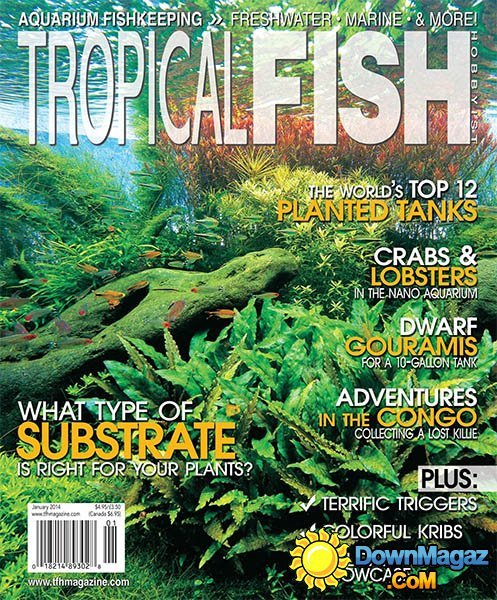 Tropical Fish Hobbyist - January 2014 Tropical Fish Hobbyist - January 2014