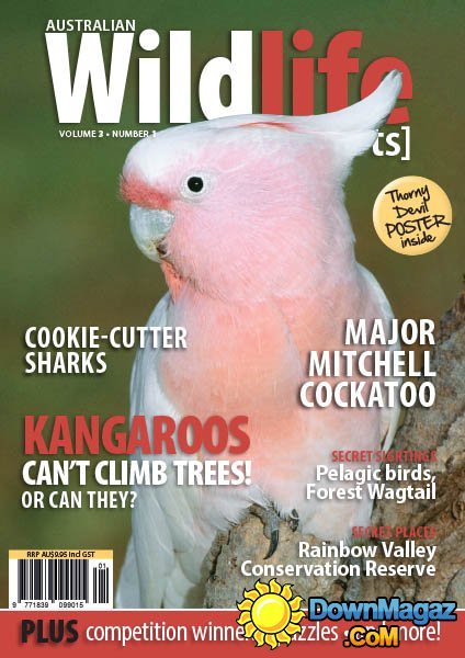 Australian Wildlife Secrets Vol.3 No.1 Australian Wildlife Secrets Vol.3 No.1