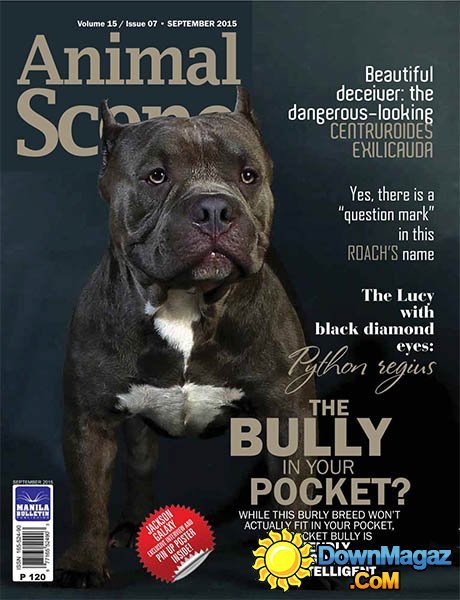 Animal Scene - September 2015 Animal Scene - September 2015