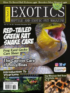Ultimate Exotics - 11/12 2018 Ultimate Exotics - 11/12 2018