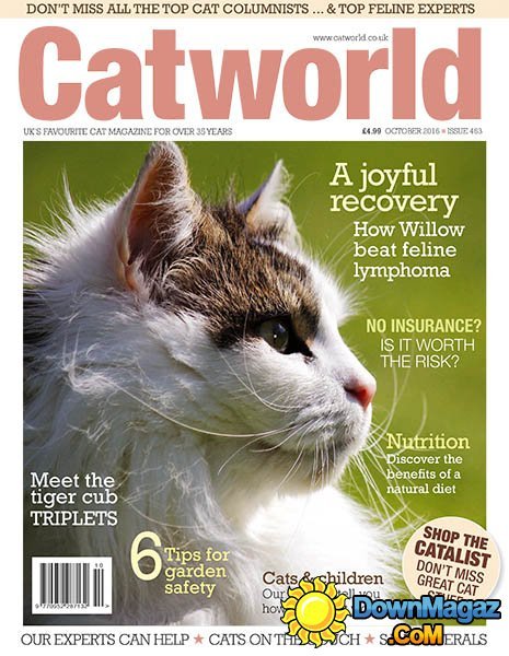 Catworld - October 2016 Catworld - October 2016