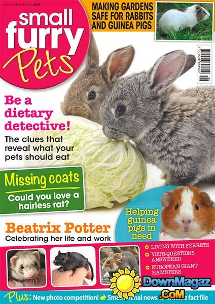 Small Furry Pets - June-July 2016 Small Furry Pets - June-July 2016