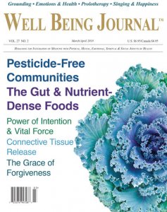 Well Being Journal - 03/04 2018