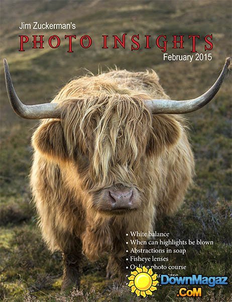 Photo Insights - February 2015