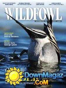 Wildfowl - 10.2017 Wildfowl - 10.2017