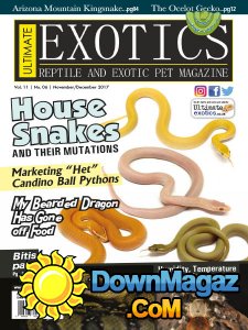 Ultimate Exotics - 11/12 2017 Ultimate Exotics - 11/12 2017